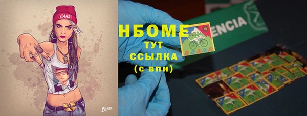 прущие грибы Алексин