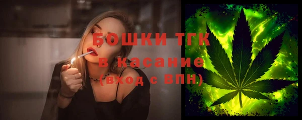 прущие грибы Алексин
