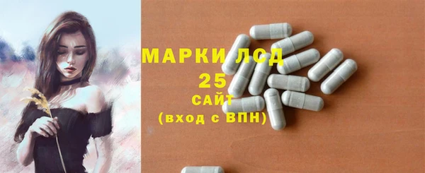 ECSTASY Пересвет