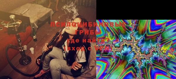 прущие грибы Алексин
